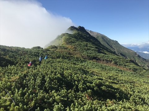 180901-12Æó¥Ú¥½¥Ä»³.jpg