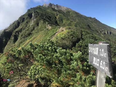 180901-18Æó¥Ú¥½¥Ä»³.jpg