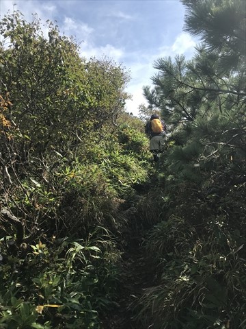 180915-25徳舜瞥山→ホロホロ山.jpg