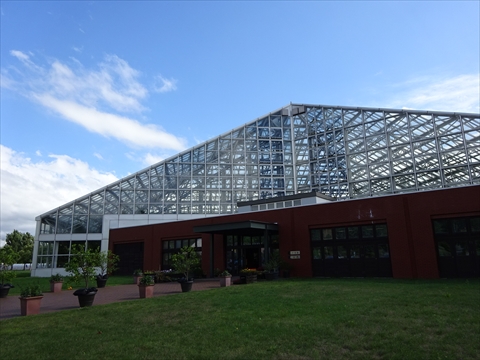 190817-22いわみざわ公園.jpg