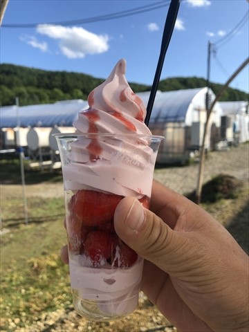 190901-26百合が原公園.jpg