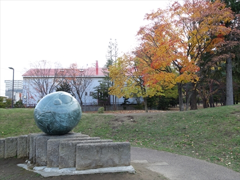 191104-20円山公園.jpg