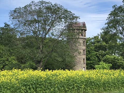 200621-06百合が原公園.jpg