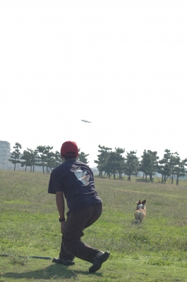 ¤´〜〜〜