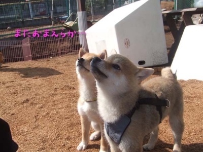 えさに釣られる…またか。