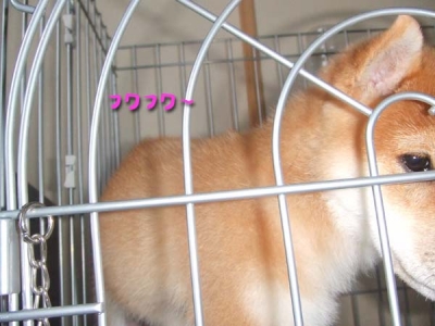 オフロ上がり♪