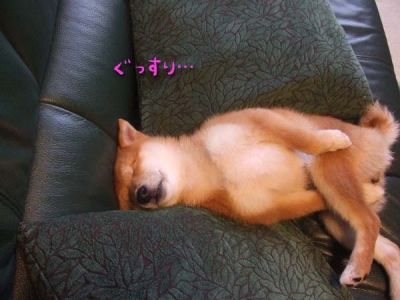 疲れたか。