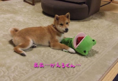 かえるくん絶望的。