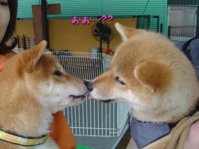 仲直り。