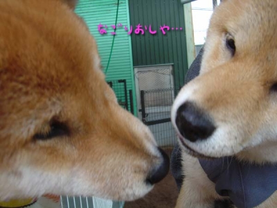 ちょっとメロドラマちっく。