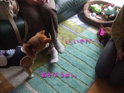 ¶ù¤Ç½Ì¤³¤Þ¤ë¡£