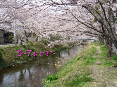 Ëþ³«¤Ç¤Ï¤Ê¤«¤Ã¤¿¤Ê¡Á¡£
