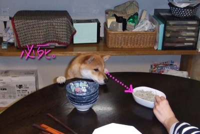 悪い例。