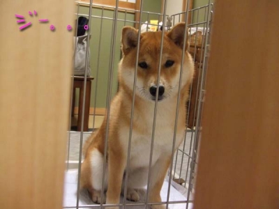 そ〜っと覗いて見てごらん♪