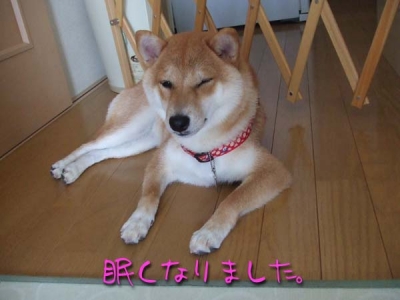 うとうとしてるのに…。