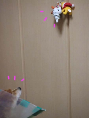 見つけた。