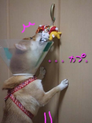 ・・・やっぱり。