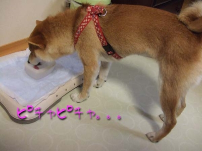 無視。