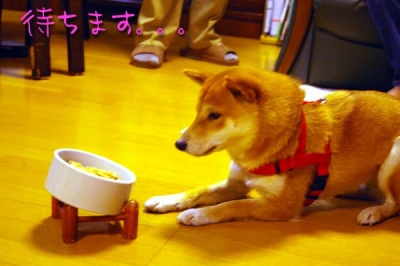 ってことは、1食100円。