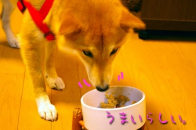 大事に食えよー。