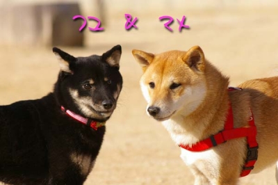 フユ&マメ。
