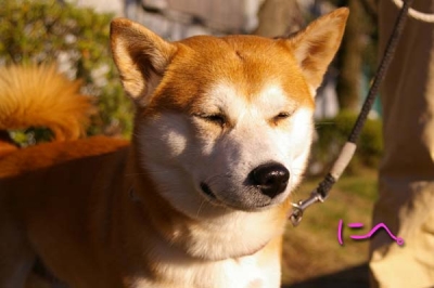 思いがけず笑顔。