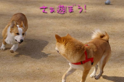 ベリィちゃんを誘って…。