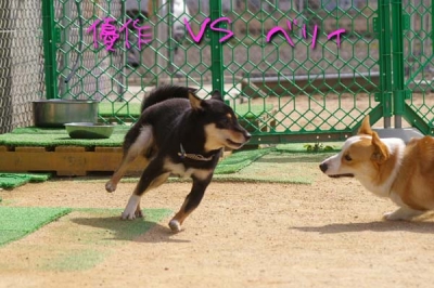 優作vsベリィ FIGHT!