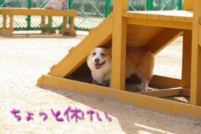 休憩します。