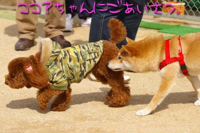 ぬいぐるみ!?