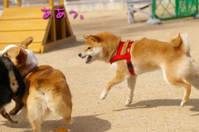 何て悪い顔!