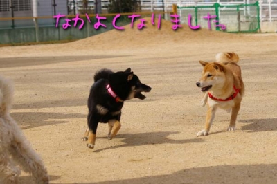 フユちゃんとマメ。