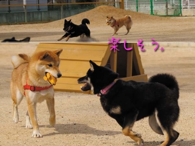 女の友情??