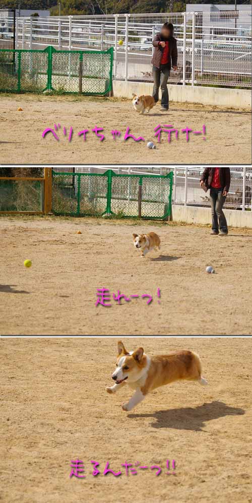 アクティブ ベリィちゃん。