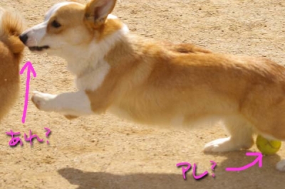 ボールは…?