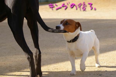 フータくん。