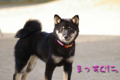 フユちゃんカメラ目線。