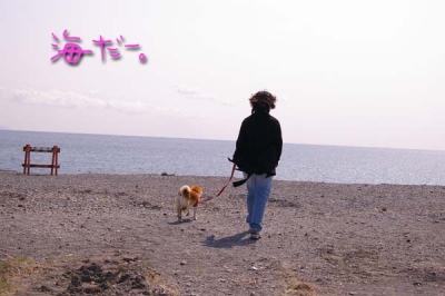 某海岸。
