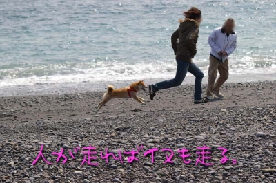 浜ランはもう勘弁して。。。