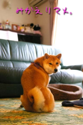 こっち向〜いて♪