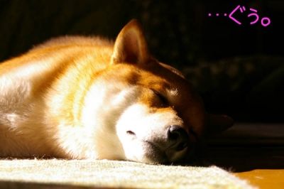 まったり率100%。