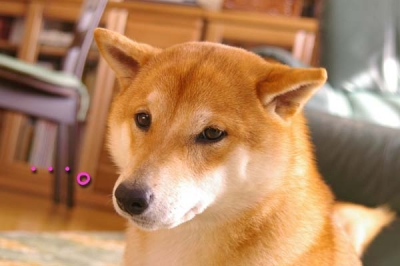 ビミョー。