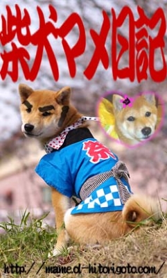 マ名刺。6