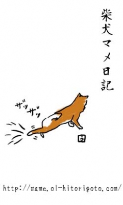 マ名刺。7