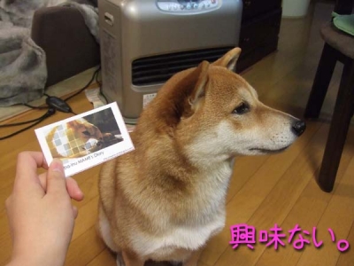 ツーン。