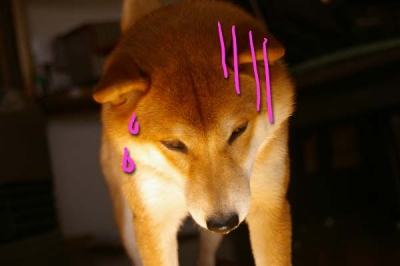 選べない。。。