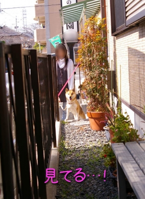 せまいとこからこんにちは。