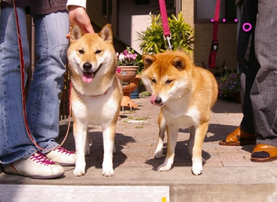 ツーショットで。