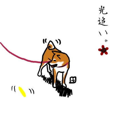 光追い。