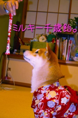 ミルキーうまい。